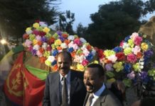 Statement from Eritrea Focus on Ethiopia and Eritrea rapprochement