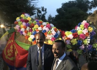 Statement from Eritrea Focus on Ethiopia and Eritrea rapprochement