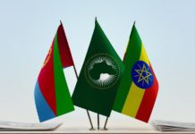 Regional tensions ease in the Horn of Africa, but substantial reform needed in Eritrea