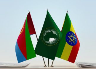 Regional tensions ease in the Horn of Africa, but substantial reform needed in Eritrea