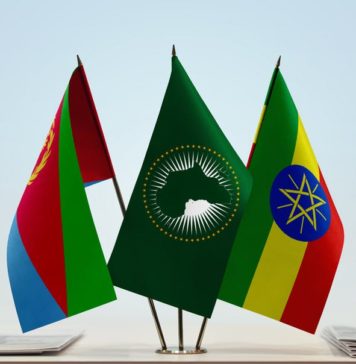 Regional tensions ease in the Horn of Africa, but substantial reform needed in Eritrea