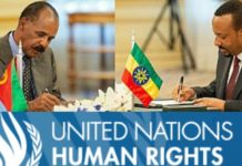 Peace deal could offer hope for reforms if it follows three key steps, says UN expert