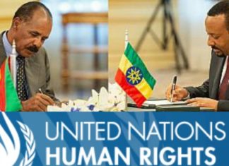 Peace deal could offer hope for reforms if it follows three key steps, says UN expert