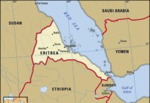 Eritrea in the news – Monitoring report: 6-7 November