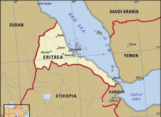 Eritrea in the news – Monitoring report: 6-7 November