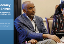 Eritrea in the news – Monitoring report: 8-9 November