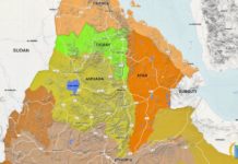 Eritrea in the news – Monitoring report: 1 – 2 November
