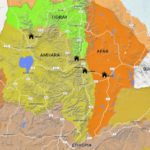 The_Tigray_War_and_Regional_Implications-2.pdf-image-003