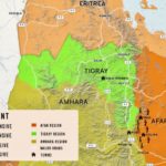 The_Tigray_War_and_Regional_Implications-2.pdf-image-008