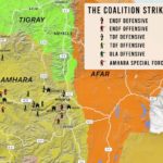 The_Tigray_War_and_Regional_Implications-2.pdf-image-010