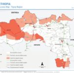 The_Tigray_War_and_Regional_Implications-2.pdf-image-023