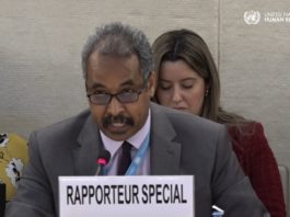 Report of the UN Special Rapporteur on the situation of human rights in Eritrea