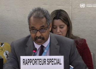 Report of the UN Special Rapporteur on the situation of human rights in Eritrea