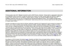 Türkiye: Eritreans at imminent risk of forced return