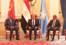 Egypt, Eritrea, Somalia leaders hold Tripartite Summit in Asmara