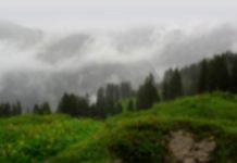 Testimonies from members of so-called ‘Menkae Movement’: Amanuel Tesfamikael