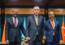 News: International partners commend Ankara Declaration, call for swift implementation of Ethiopia-Somalia agreement