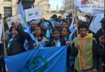 Collective Action for a Democratic Eritrea