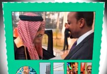 Saudi Arabia’s Strategic Investments in Eritrea’s Port of Assab Amid Rising Regional Tensions