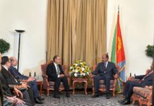 Egyptian FM delivers message to Eritrean President, discusses ties