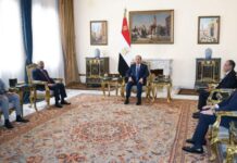 Egypt, Eritrea discuss regional stability, Red Sea security