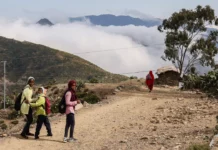 Five lessons from Eritrea’s self-reliance in an era of global aid cuts