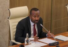 Ethiopia’s PM Abiy appoints new leader of Tigray administration