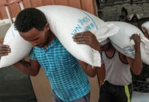 Ethiopians are one shock away from catastrophe – UN