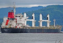 Six rescued, 15 missing after Houthi attack on cargo ship in Red Sea