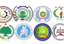 Ethiopian Opposition Urges Mass Protests to Avert National Collapse