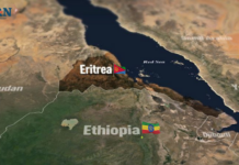 Transcending the Ethio-Eritrean Conundrum: A Vision for a Better Tomorrow