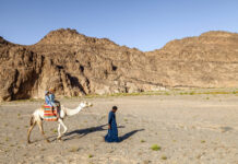 Campaign urges release of 7 ministers in Eritrea