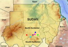 Strategic Alignment and Regional Stakes: Understanding the UAE’s Engagement in Sudan’s Conflict