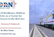 Restoration & Resilience: Railway Connectivity as a Vector for Ethiopia’s Access to the Red Sea