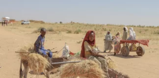 Sudan Is in Free Fall