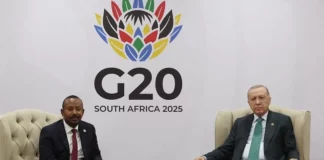 Turkish Mediation Can Be Key to An Ethiopia- Eritrea Ports Agreement