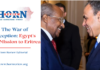 The War of Perception: Egypt’s New Mission to Eritrea