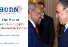 The War of Perception: Egypt’s New Mission to Eritrea