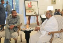 Pawn on the Red Sea: Ethiopia’s Afar Gambit