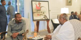 Pawn on the Red Sea: Ethiopia’s Afar Gambit