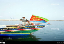 Response to Dr Tomas Solomon’s article on Assab