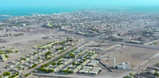 When Political Choices Turn Assets into Liabilities