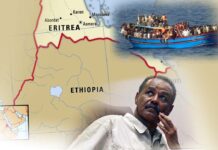 From an African Singapore Dream to a Regionally Securitized Kleptocracy: Eritrea’s Red Sea Trading Corporation and Its Co.