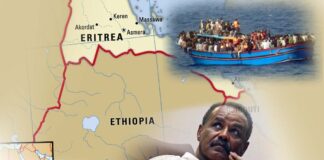From an African Singapore Dream to a Regionally Securitized Kleptocracy: Eritrea’s Red Sea Trading Corporation and Its Co.