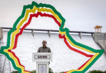 Egypt denies report it offered Ethiopia Red Sea access over GERD