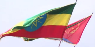 Ethiopia calls on Eritrea to pull its troops back to the border