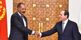 Egypt and Saudi Arabia focus on Eritrea as UAE bolsters ties to Ethiopia
