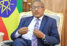 Former minister Gedu says Eritrean, Ethiopian forces operated “as a single force” until Pretoria ceasefire, disputes PM Abiy’s account of Asmara’s role in Tigray war
