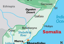 With Somalia Pact, Turkey Extends Its Maritime Reach Into the Indian Ocean