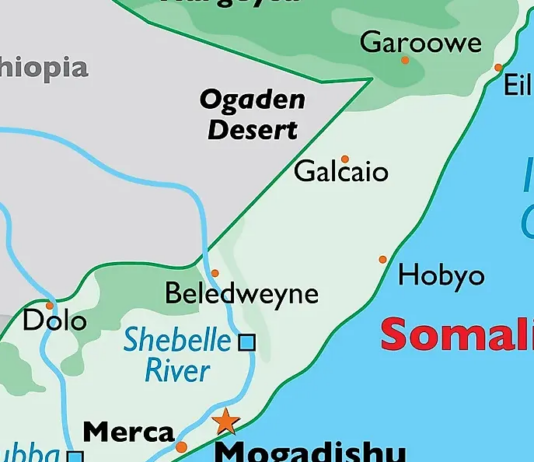 With Somalia Pact, Turkey Extends Its Maritime Reach Into the Indian Ocean